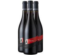 Saint-Chinian Ivresses - Rouge 2024 - Domaine Canet Valette - Vin Rouge du Languedoc - Roussillon (3x75 IO