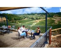 Saint-Emilion Grand Cru Classé: Visite gourmande en anglais