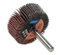 Saint-Gobain Norton Meule à lamelles avec tige R207Plus 40x15x6 P60 Quantité:10