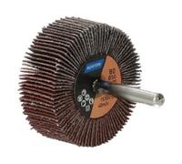 Saint-Gobain Norton Meule à lamelles avec tige R207Plus 50x20x6 P80 Quantité:10