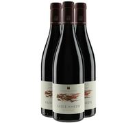 Saint-Joseph Le passage - Rouge 2022 - Domaine Stéphane Ogier - Vin Rouge de la Vallée du Rhône (3x75cl)