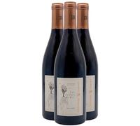 Saint-Joseph Les Racines du Ciel - Rouge 2023 - Dauvergne - Ranvier - Vin Rouge de la Vallée du Rhône (3x75cl)
