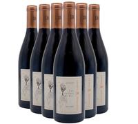Saint-Joseph Les Racines du Ciel - Rouge 2023 - Dauvergne - Ranvier - Vin Rouge de la Vallée du Rhône (6x75cl)