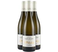 Saint-Joseph Les Royes - Blanc 2024 - Domaine Courbis - Vin Blanc de la Vallée du Rhône (3x75cl)