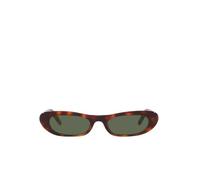 Saint Laurent SL 557 SHADE 002, Lunettes de soleil, Papillon, Femme, Havana