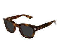 SAINT LAURENT Unisex SAINT LAURENT SL 838 006 Lunettes de soleil Acétate La Havane Gris Ronde