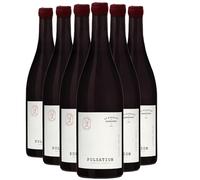 Saint-Nicolas-de-Bourgueil Pulsation - Rouge 2023 - Les Eclaireurs - Vin Rouge du Val de Loire (6x75 IO