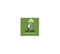Saint Patrick, confessions et autres écrits - Saint Patrick - Premiere Partie Eds - broché - Essai