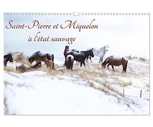Saint-Pierre et Miquelon à l'état sauvage (Calendrier mural 2027 DIN A3 vertical), CALVENDO calendrier mensuel: Un petit bout de France méconnu