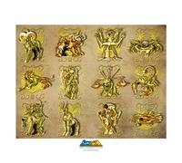 Saint Seiya - Collector Artprint Gold Clothes