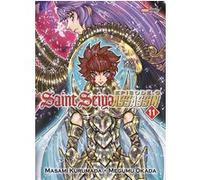 Saint Seiya Episode G Assassin KURUMADA-M+OKADA-M (Auteur)