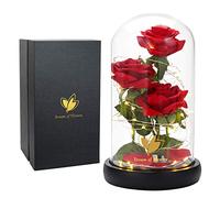 Saint Valentin Pétales de Rose en Soie Rouge et lumière LED avec Fallen en dôme en Verre sur Une Base en Bois - Idée Cadeau Femme - la Saint Valentin sans Oublier Les Anniversaire