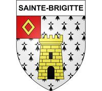 Sainte-Brigitte 56 ville sticker blason écusson autocollant adhésif - Taille : 12 cm