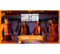 Saints Row Criminal (PC)