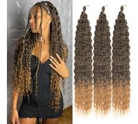 Saisifen Ocean Wave Crochet Hair for Black Women 3 Bundles Ombre Colorful Goddess Boho Braids Extensions Synthetic Curly Braiding Hair 61 cm(24 Inch) #T27