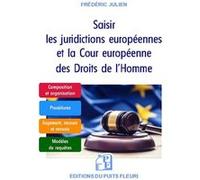 Saisir Les Juridictions Européennes Et La Cour Européenne Des Droits De L'homme - Guide Pratique