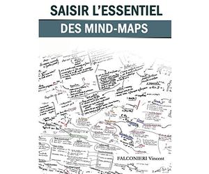 Saisir l'essentiel des Mind-Maps: Efficacité et enseignement