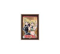 Saison de Fairy Tail boîte 8 (3 Dvd)