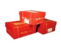 'Sait.BA.Cart s01240117000 Papier listing, 240 mm x 11, 70 g/m², blanc piste détachables, Lot de 2000 feuilles