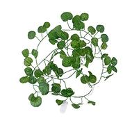 Saiyana 25LED 2,2 m rotin artificiel feuille de bégonia feuille vigne fil de cuivre guirlande lumineuse décor rotin vigne