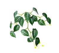 Saiyana Décoration D'aquarium pour Lit De Repos De Poissons Hamac À Feuilles Lit De Frai pour Bettas Accessoires D'aménagement Paysager De Terrarium