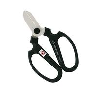 SakaHajime Hand Creation Kinko Type Moss Green F-170 (Import Japon)