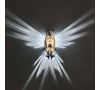 SAKEMA Applique Murale 3D en résine sculptée en Forme d'animal Mignon, veilleuse LED en Forme de Lion, pygargue à tête Blanche, pour la décoration de la Maison, pour Bureau, Chambre (Aigle)