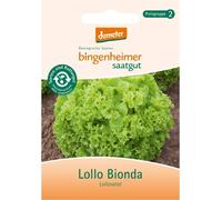 Salade de lollo - Lollo Bionda
