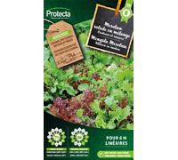 Salade mêlée Mesclun - Protecta Graines paysannes - Env. 4 gr | 124-Protecta