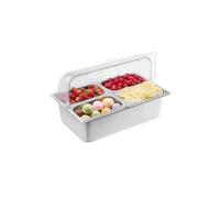 Saladette Réfrigérée à Poser 54,6x36,5x31cm Capacité 2,5L 4 Bacs Avec Couvercle