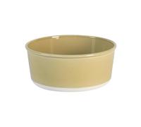 Saladier Vert Argile Cantine 20 cm