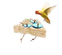 SALAKEET FORING Toy - Entraînement des oiseaux - Slow Feeder - Activité d'enrichissement du bois - Accessoire de cage