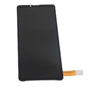 SALALIS Kit de Remplacement D'écran 10 IV, Excellent Assemblage D'affichage Artisanal pour les Distorsions de Pixels, Installation Professionnelle Recommandée