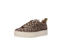 SALAMANDER Baskets basses marron / cappuccino / brun foncé, Taille 40