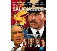 Salamander [Import USA Zone 1]