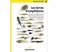 Salamandre - miniguide 120 - les larves d'amphibiens Salamandre (Auteur)