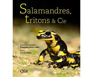 Salamandres, tritons et Cie: Préface Nicolas Hulot
