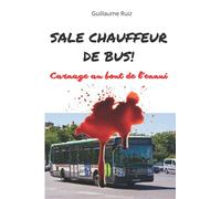 SALE CHAUFFEUR DE BUS ! Carnage au bout de l'ennui: La descente aux enfers d'un homme fatigué, la routine du quotidien et jusqu'au terminus...
