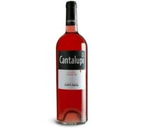 SALENTS VIN ROUGE IGP 75 CL