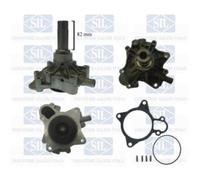 Saleri SIL Pompe à Liquide de Refroidissement pour Iveco Daily IV Plat / Châssis