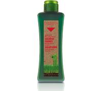 Salerm Biokera Hair Regenerating Shampoo 300ml By Biokera