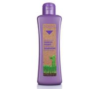 Salerm Cosmetics Biokera Natura Shampooing Grapeology, 300 ml