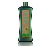 Salerm Cosmetics Biokera Natura Shampooing spécial graisse - 1000 ml