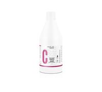Salerm Hair Lab shampooing végétalien couleur durable 300 ml