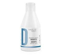 SALERM - Shampoing Antipelliculaire - Shampoing contre les pellicules Haarlab - 300 ml - Ralentit la formation des pellicules - Soulage les irritations et les démangeaisons du cuir chevelu