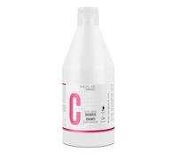 SALERM Shampooing pour cheveux colorés - Shampooing Color Longer Hair Lab - 600 ml - Avec provitamine B5 et vitamines A et E - Scelle et nourrit la couleur - Sans sulfates ni parabènes