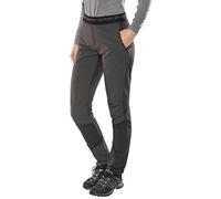 Salewa Agner Light DST Engineer W PNT Pantalon pour Femme