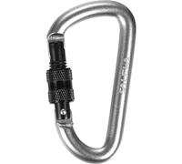 Salewa D-SHAPE CARABINER WITH SCREW