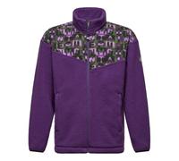 Salewa - Eagle Anniversary Full-Zip Jacket - Veste polaire - XL - plum