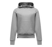 Salewa Eagle Hoodie U, S, Alloy